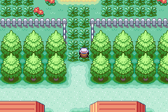 Pokemon Fire Red Randomizer Download - GameFabrique